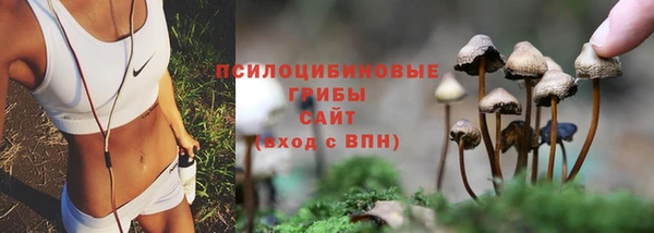 гашик Армянск