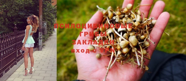 MDMA Premium VHQ Аркадак